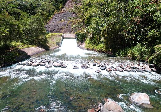 Certificados de Energía Renovable 1