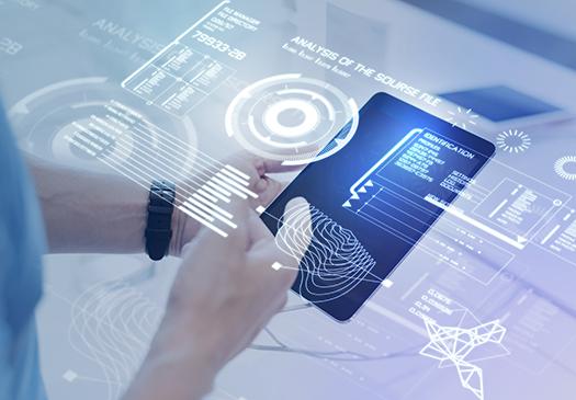 Servicios de Administración de SAP