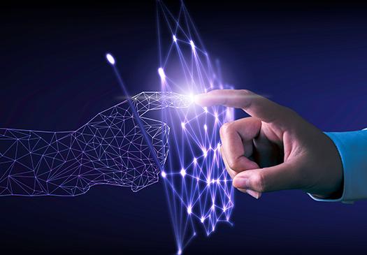 Servicios de Administración SAP BASIS (Net Weaver)